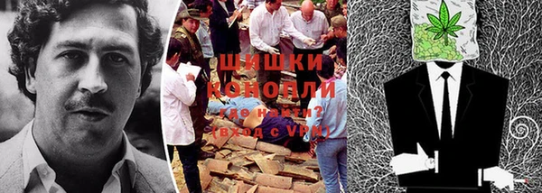 ГАЛЛЮЦИНОГЕННЫЕ ГРИБЫ Арсеньев