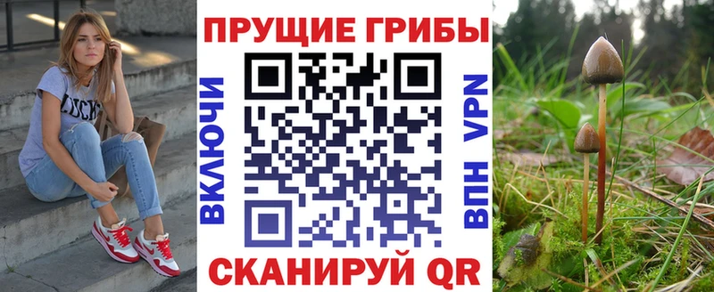 сколько стоит  Миньяр  Псилоцибиновые грибы прущие грибы 